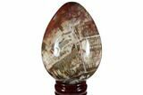 Colorful, Polished Petrified Wood Egg - Triassic #111035-1